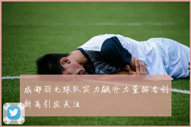 成都羽毛球队实力飙升力量排名创新高引发关注