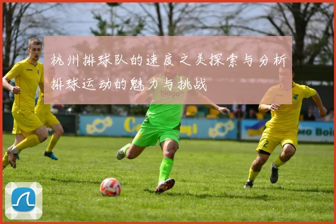 杭州排球队的速度之美探索与分析排球运动的魅力与挑战